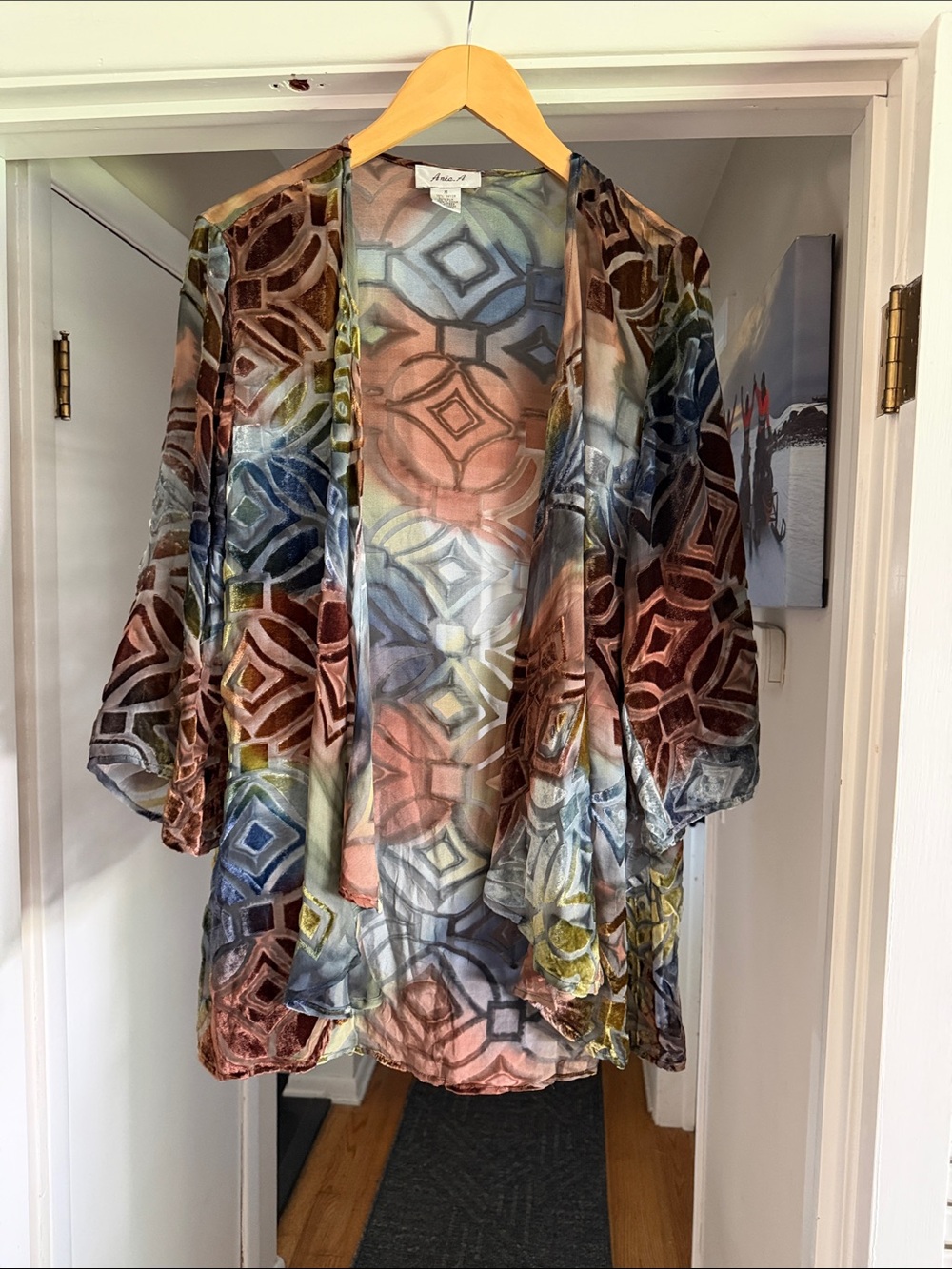 Multicolor Geometric Velvet Burnout Kimono Tunic